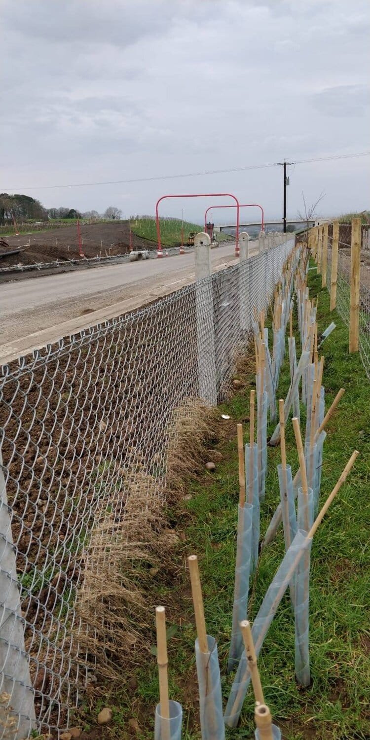 A6 Motorway Dualling (Castledawson to Randalstown) Featured Image